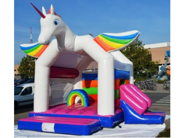 licorne-avec-toboggan-2_f_2_470_1.jpg.webp