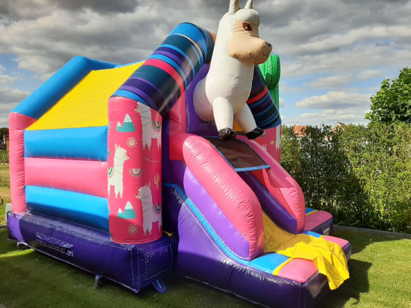 lama-1.jpg.webp